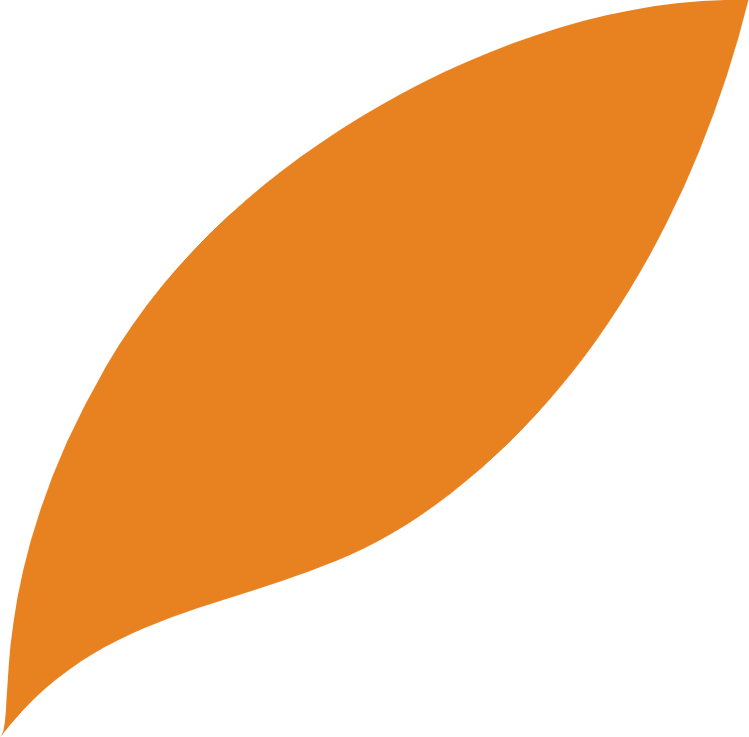 Orange Leave